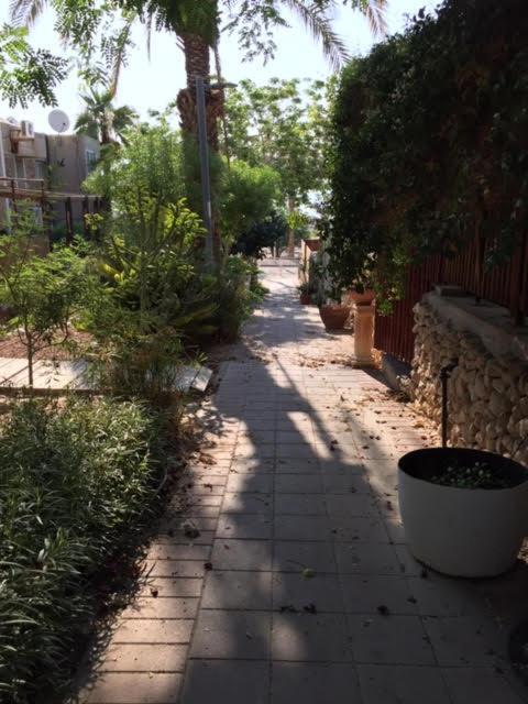 נווה זוהר הבית של דרורי מראה חיצוני תמונה